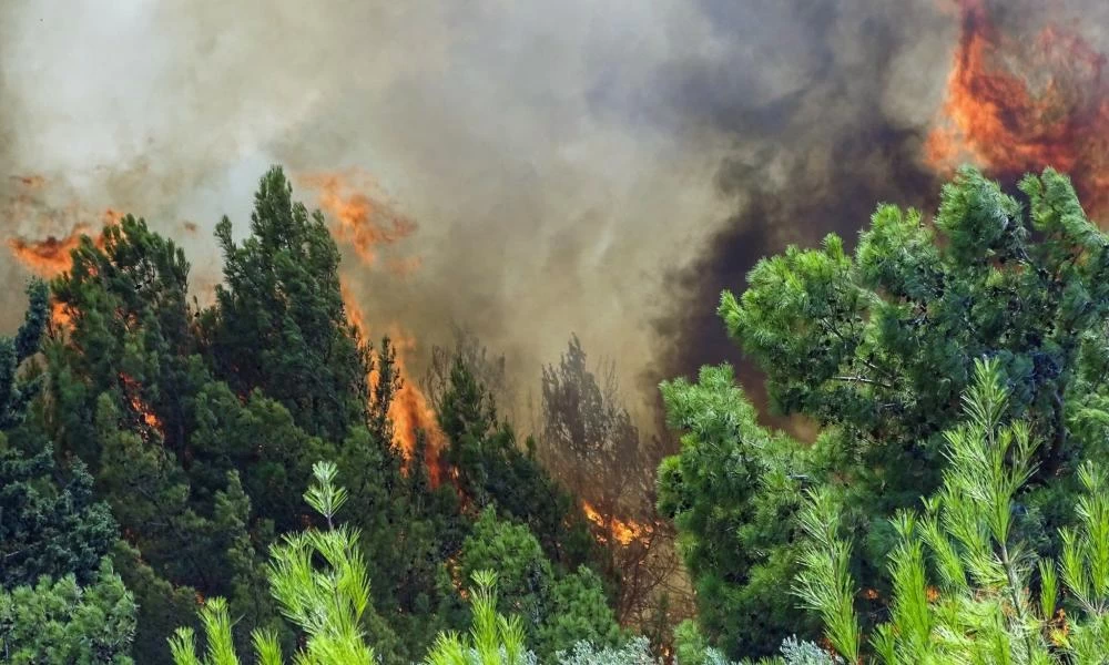 Συναγερμός στη Ρόδο: Αναζωπύρωση της φωτιάς